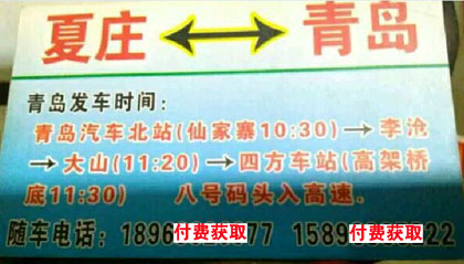 夏庄到青岛名片正面