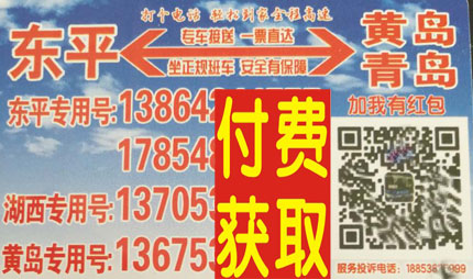 东平到青岛名片正面