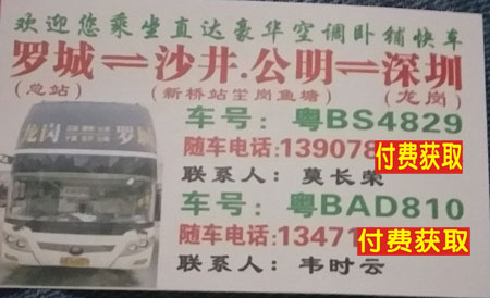 罗成到深圳名片正面