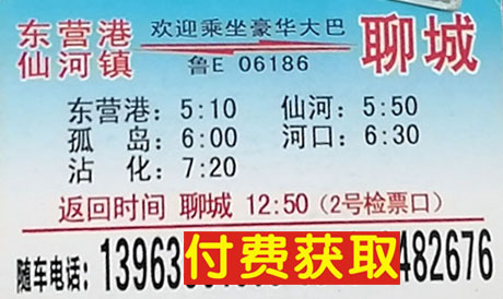 东营仙河到聊城名片正面