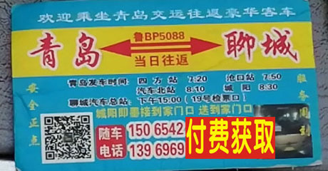 聊城到青岛名片正面