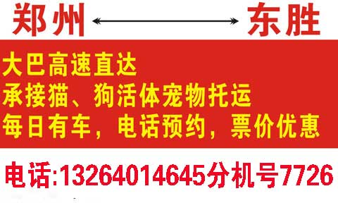 郑州到东胜名片正面